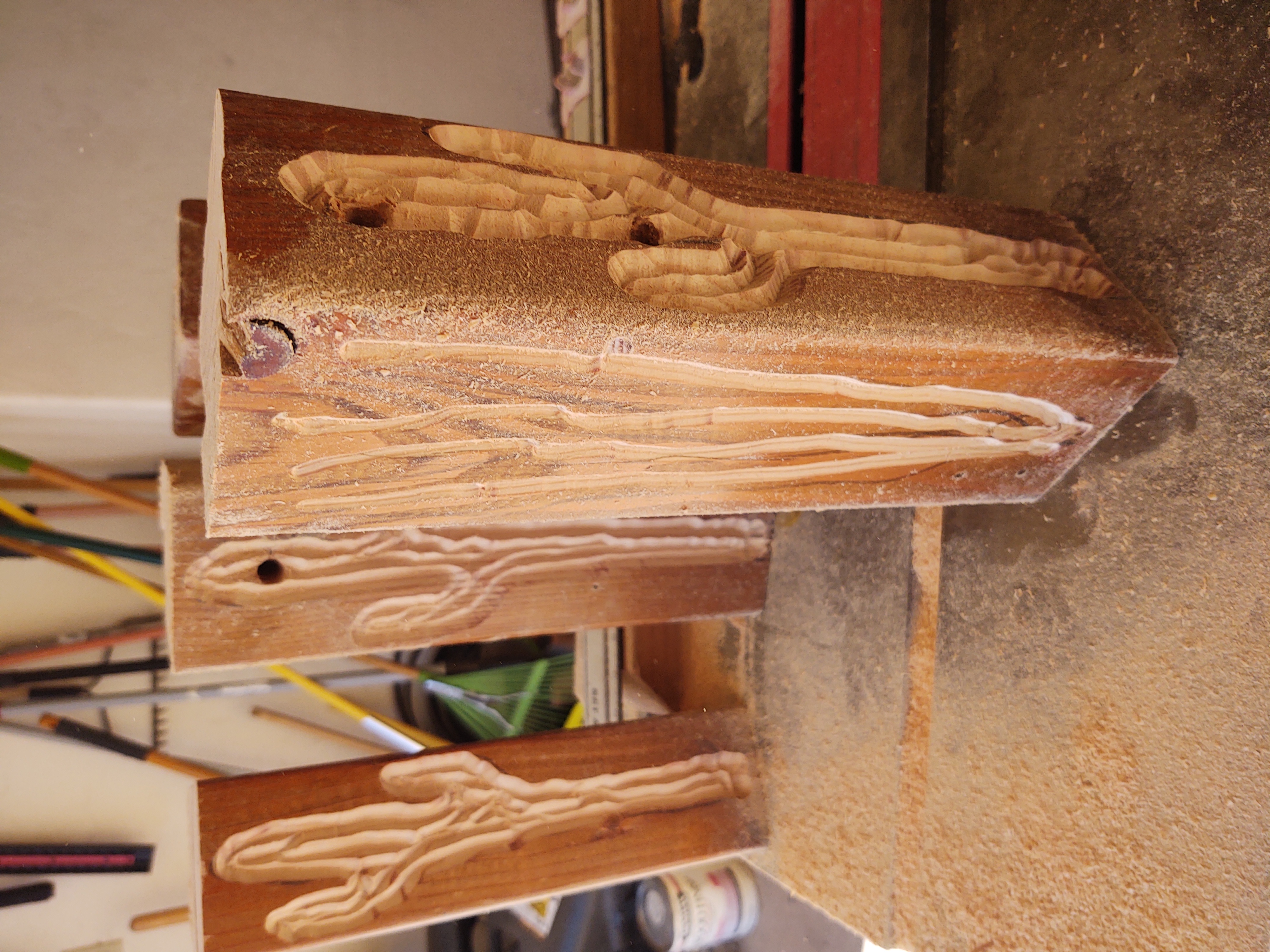 Detailed carved desert cactus designs